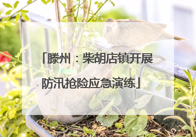 滕州：柴胡店镇开展防汛抢险应急演练