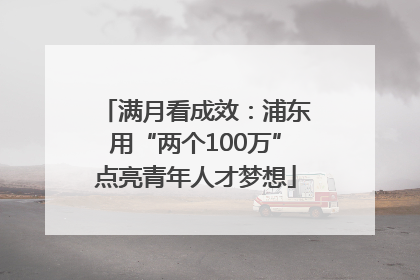 满月看成效：浦东用“两个100万”点亮青年人才梦想