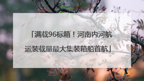 满载96标箱！河南内河航运装载量最大集装箱船首航