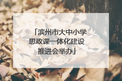 滨州市大中小学思政课一体化建设推进会举办
