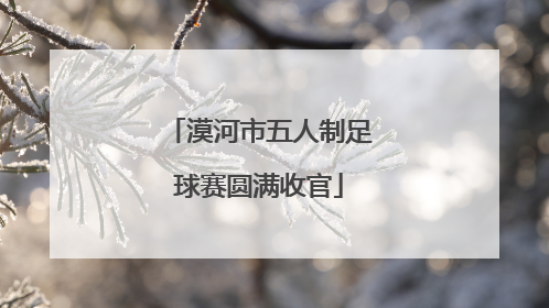 漠河市五人制足球赛圆满收官