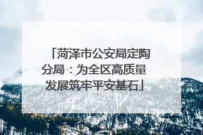 菏泽市公安局定陶分局：为全区高质量发展筑牢平安基石