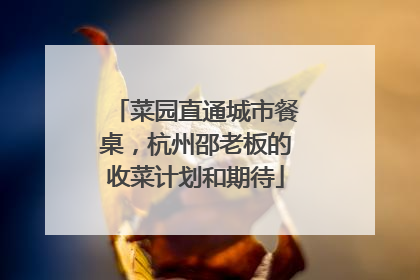菜园直通城市餐桌，杭州邵老板的收菜计划和期待