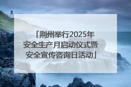 荆州举行2025年安全生产月启动仪式暨安全宣传咨询日活动