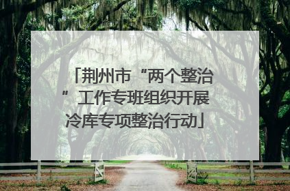 荆州市“两个整治”工作专班组织开展冷库专项整治行动