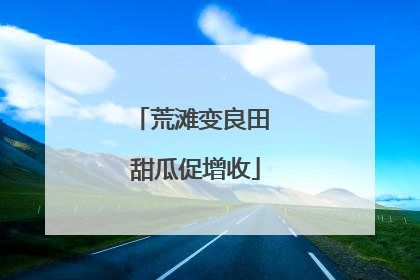 荒滩变良田 甜瓜促增收