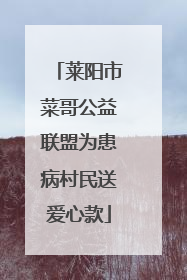 莱阳市菜哥公益联盟为患病村民送爱心款
