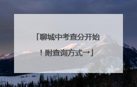 聊城中考查分开始！附查询方式→