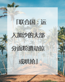 联合国：运入加沙的大部分面粉遭劫掠或哄抢