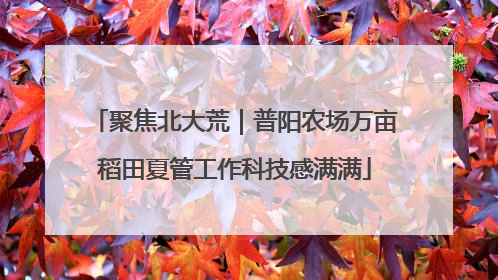 聚焦北大荒｜普阳农场万亩稻田夏管工作科技感满满