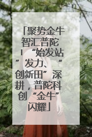 聚势金牛 智汇普陀〡“始发站”发力、“创新田”深耕，普陀科创“金牛”闪耀