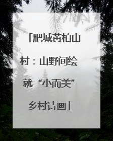 肥城黄柏山村：山野间绘就“小而美”乡村诗画