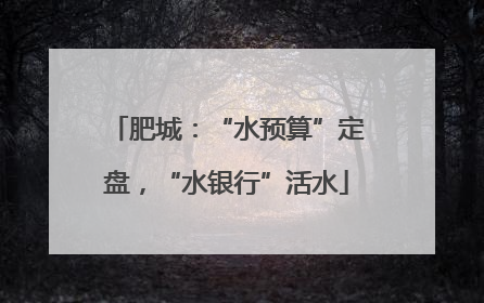 肥城：“水预算”定盘，“水银行”活水
