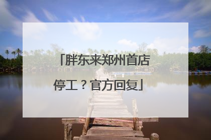 胖东来郑州首店停工？官方回复