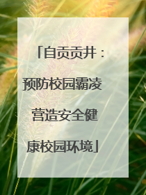 自贡贡井：预防校园霸凌 营造安全健康校园环境