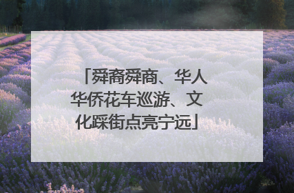 舜裔舜商、华人华侨花车巡游、文化踩街点亮宁远