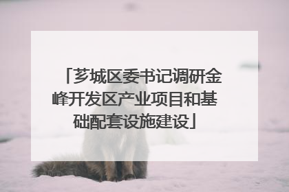 芗城区委书记调研金峰开发区产业项目和基础配套设施建设