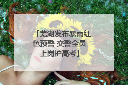 芜湖发布暴雨红色预警 交警全员上岗护高考