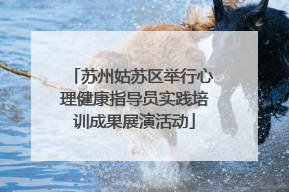 苏州姑苏区举行心理健康指导员实践培训成果展演活动