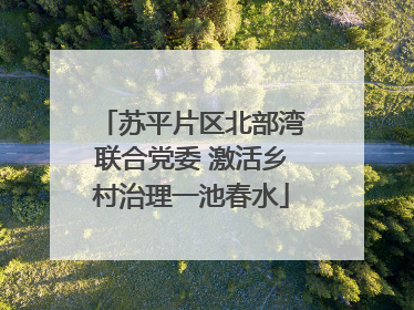 苏平片区北部湾联合党委 激活乡村治理一池春水