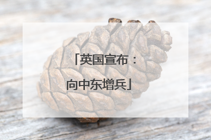 英国宣布：向中东增兵