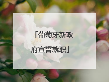 葡萄牙新政府宣誓就职