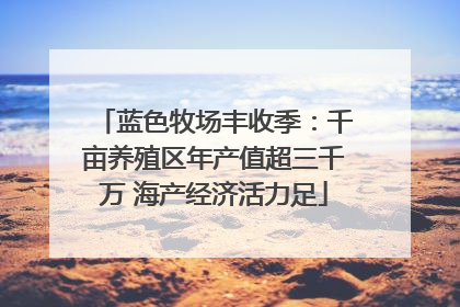 蓝色牧场丰收季：千亩养殖区年产值超三千万 海产经济活力足