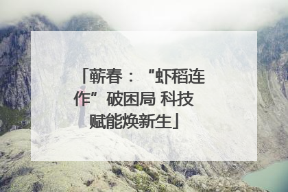 蕲春：“虾稻连作”破困局 科技赋能焕新生