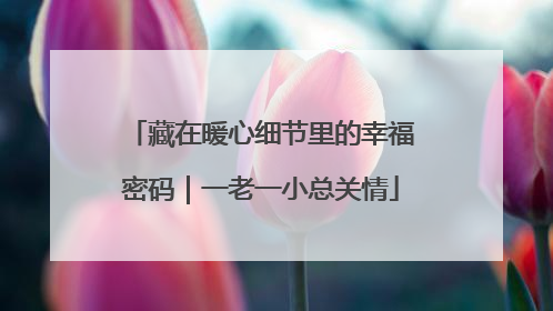 藏在暖心细节里的幸福密码｜一老一小总关情