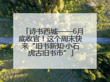 诗书西城——6月底收官！这个周末快来“旧书新知·小石虎古旧书市”