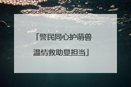 警民同心护萌兽 温情救助显担当