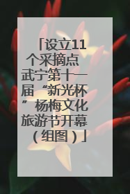 设立11个采摘点 武宁第十一届“新光杯”杨梅文化旅游节开幕（组图）