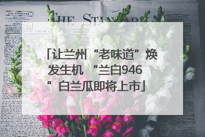 让兰州“老味道”焕发生机 “兰白946”白兰瓜即将上市
