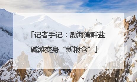 记者手记：渤海湾畔盐碱滩变身“新粮仓”