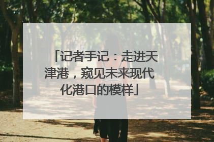 记者手记：走进天津港，窥见未来现代化港口的模样