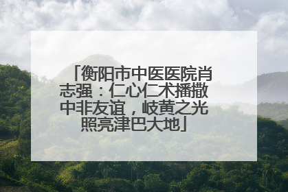 衡阳市中医医院肖志强：仁心仁术播撒中非友谊，岐黄之光照亮津巴大地