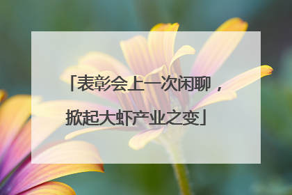 表彰会上一次闲聊，掀起大虾产业之变