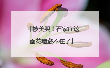 被美哭！石家庄这面花墙藏不住了