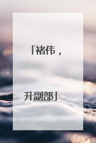 褚伟，升副部