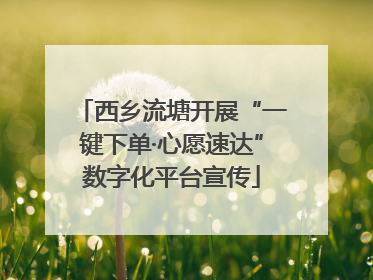 西乡流塘开展“一键下单·心愿速达”数字化平台宣传