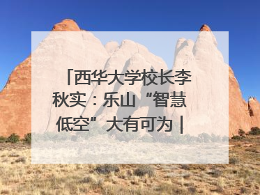 西华大学校长李秋实：乐山“智慧低空”大有可为｜西望四川