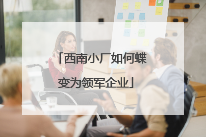 西南小厂如何蝶变为领军企业