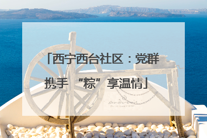 西宁西台社区：党群携手 “粽”享温情