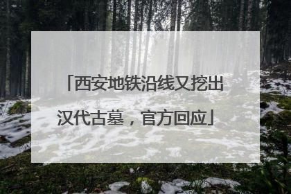 西安地铁沿线又挖出汉代古墓，官方回应