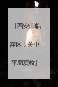 西安市临潼区：关中平原夏收