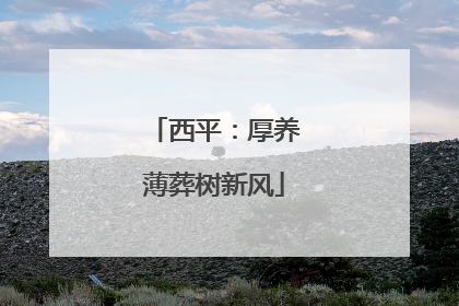 西平：厚养薄葬树新风