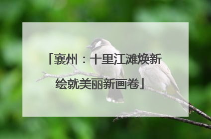 襄州：十里江滩焕新 绘就美丽新画卷