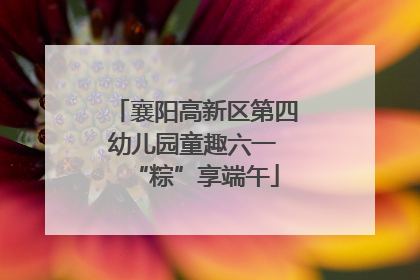 襄阳高新区第四幼儿园童趣六一 “粽”享端午