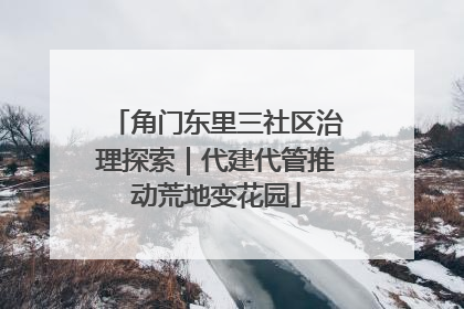 角门东里三社区治理探索｜代建代管推动荒地变花园