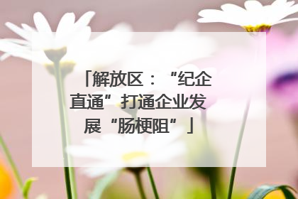 解放区：“纪企直通”打通企业发展“肠梗阻”